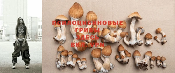 прущая мука Абаза