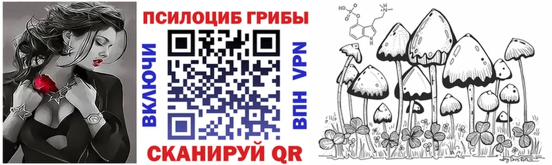 Псилоцибиновые грибы мицелий Сергач